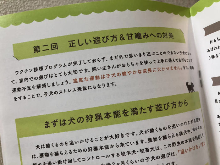 こいぬすてっぷ生後2ヶ月の育て方ガイドの中身